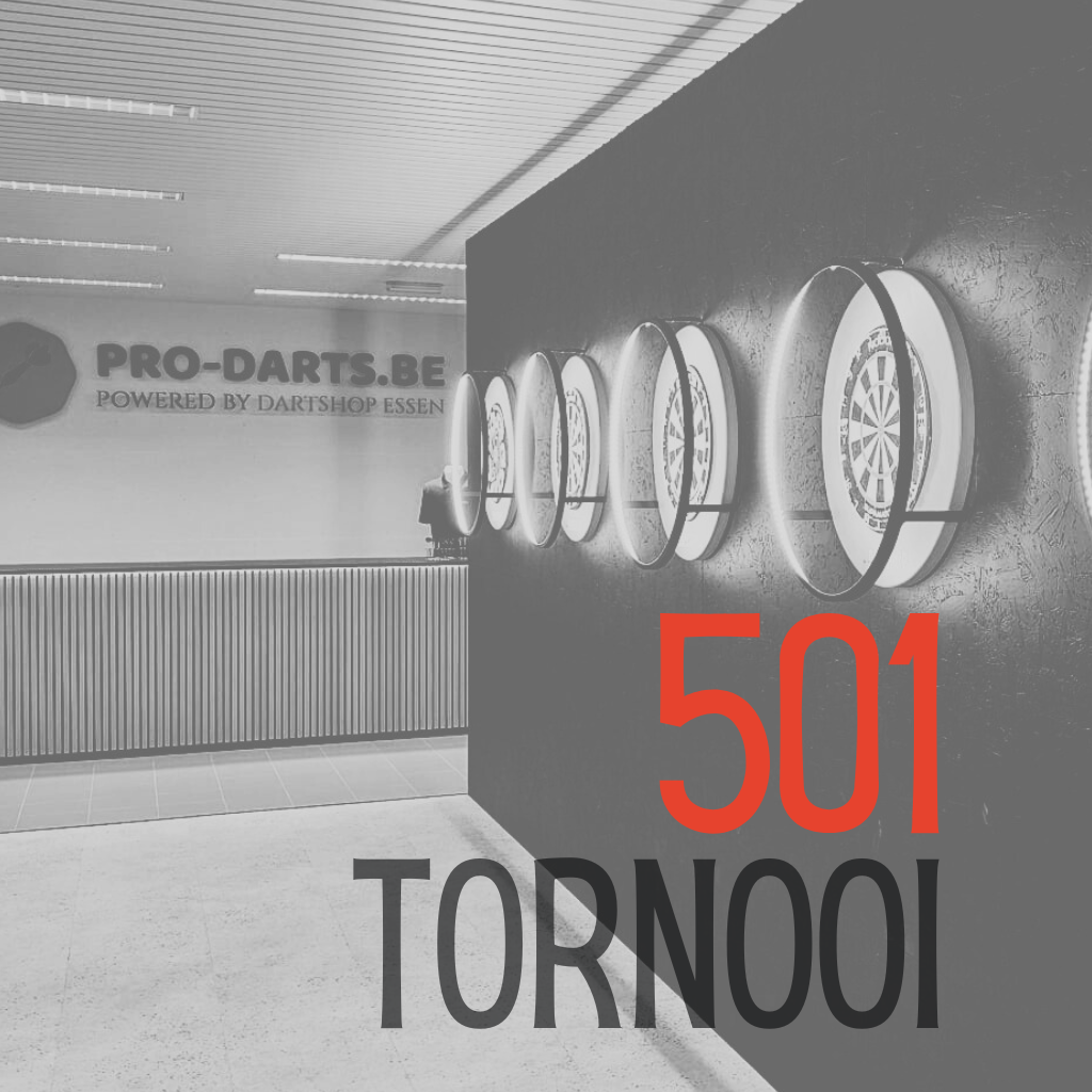 PRO DARTS 501 tornooi, Singles (gemengd)